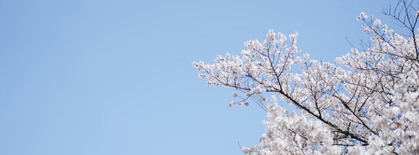 What Are You Worried About?